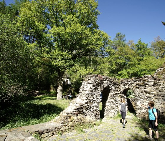 Klosterruine Mädburg, © Laura Rinneburger