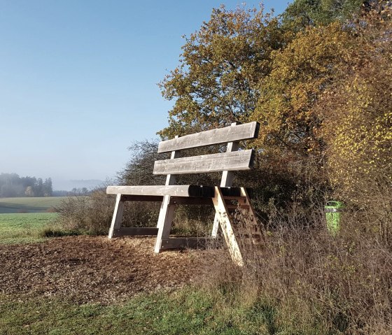 Die Baumelbank im Herbst, © Foto: Svenja Schulze-Entrup, Quelle: Touristik-Büro Vordereifel