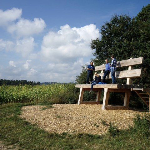 Die XXL-Baumelbank in Ditscheid, © Foto: Laura Rinneburger, Quelle: Touristik-Büro Vordereifel