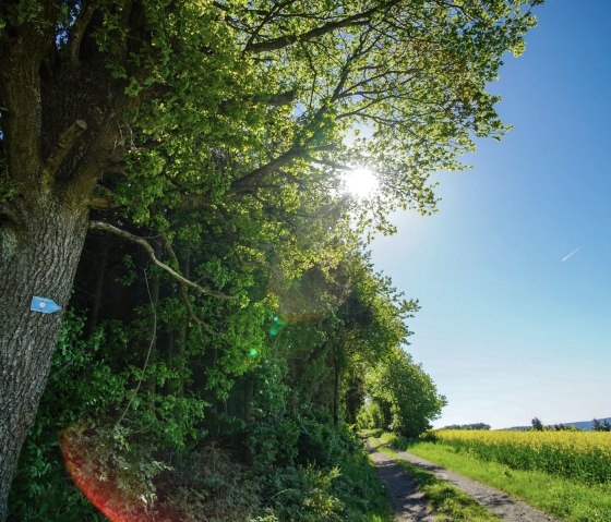 Von Döttingen wieder zurück nach Herresbach, © Laura Rinneburger