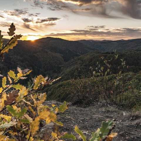 Sonnenuntergang am Nitzblick, © Laura Rinneburger