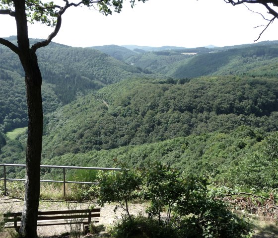 Ausblick vom Nitzblick, © Foto: Laura Rinneburger, Quelle: Touristik-Büro Vordereifel