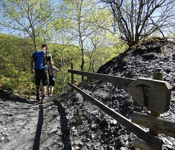 Aus der Schiefergrube in Richtung Elzbach, © Laura Rinneburger