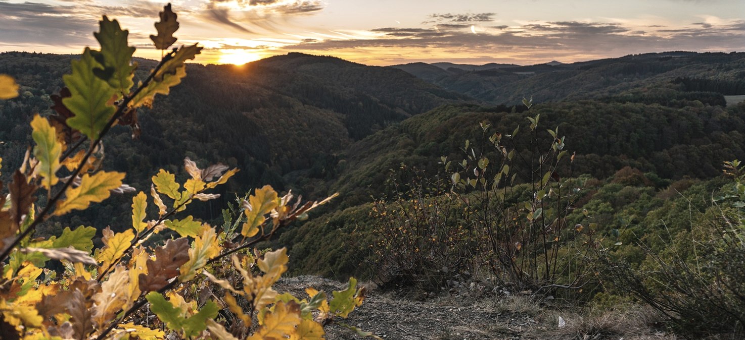 Sonnenuntergang am Nitzblick, © Laura Rinneburger