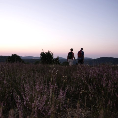 Wanderer in der Wacholderheide in Langscheid bei Sonnenaufgang, © Laura Rinneburger