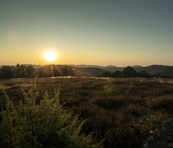 Sonnenaufgang in Langscheid, © Laura Rinneburger