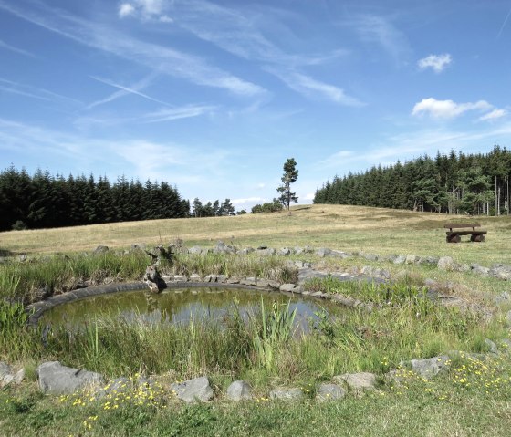 heidetuempfel-biotop-auf-dem-kindgen, © Svenja Schulze-Entrup