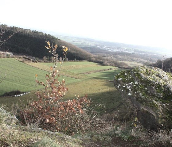 Ausblick vom Bellerberg, © Foto: Laura Rinneburger, Quelle: Touristik-Büro Vordereifel