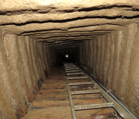 Die Leiter in der 35m hohen Fahrte - Abenteuer pur, © Foto: Svenja Schulze-Entrup, Quelle: Touristik-Büro Vordereifel