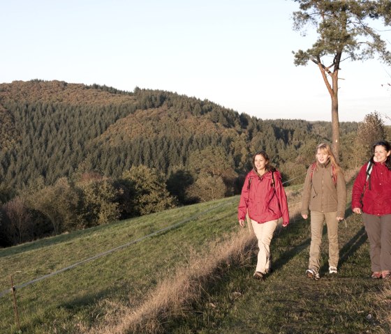 Wanderather - Wanderweg im Herbst, © Traumpfade/Kappest