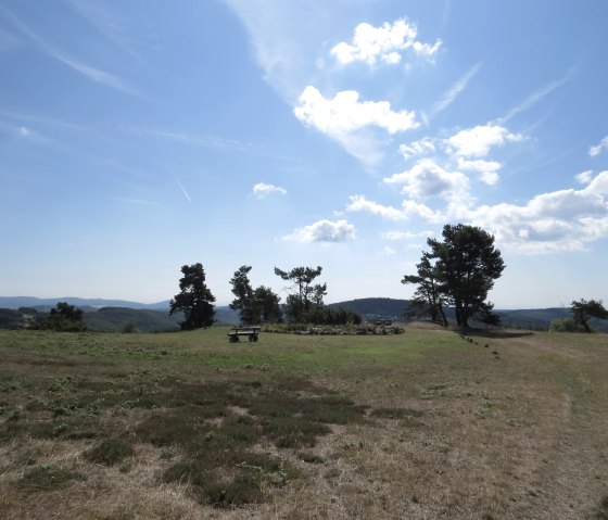 Blick zum Biotop "Heidetümpel", © Foto: Svenja Schulze-Entrup, Quelle: Touristik-Büro Vordereifel