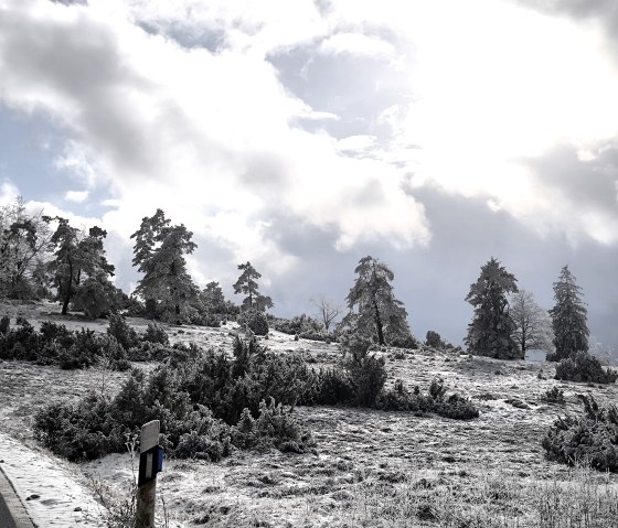 Umgebung im Winter