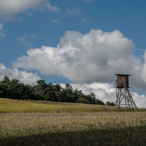 7-Dörfer-Wanderweg, © Volker Windheuser