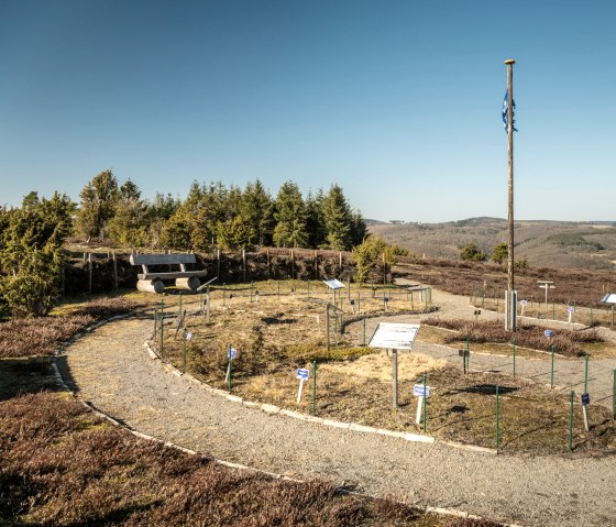 Ausblick vom Wabelsberg am Traumpfad Wacholderweg, © Eifel Tourismus GmbH, D. Ketz