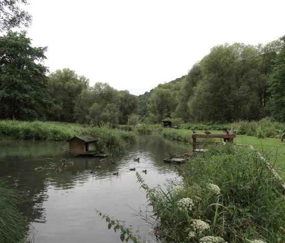 Willkommen am Morswiesener Weiher, © Foto: Svenja Schulze-Entrup, Quelle: Touristik-Büro Vordereifel