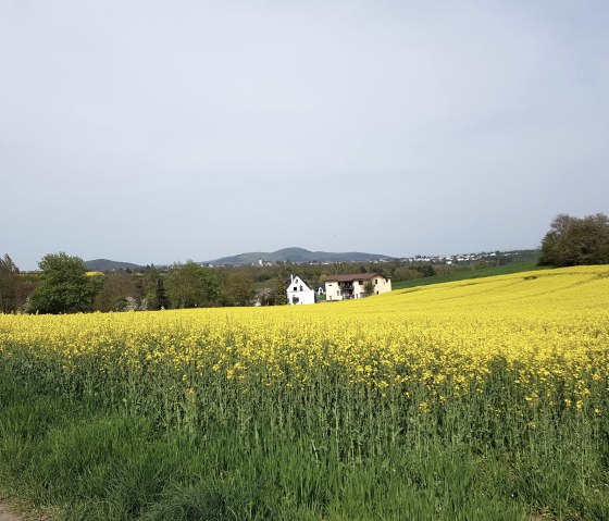 muehlsteinwanderweg-blick-ueber-felder