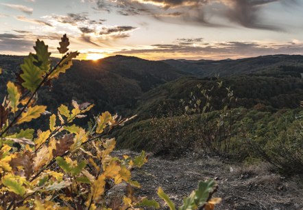 Sonnenuntergang am Nitzblick, © Foto: Laura Rinneburger, Quelle: Touristik-Büro Vordereifel