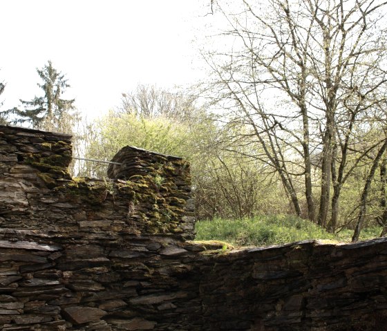 Klosterruine mit Blick in die Landschaft, © Laura Rinneburger