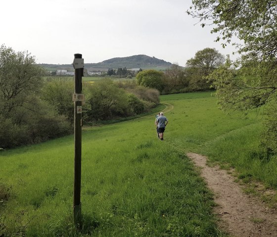 muehlsteinwanderweg-hinab-zur-ettringer-lay