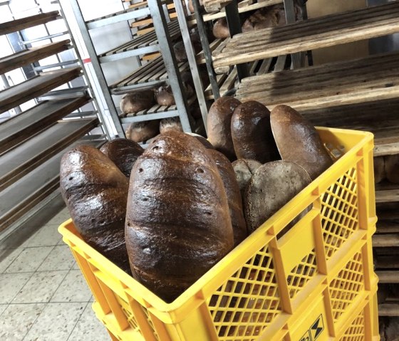 Das frische Brot fertig zum Verkauf, © Anna Döpgen