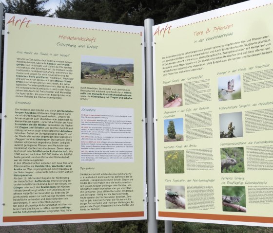 Infotafel auf dem Raßberg, © Foto: Svenja Schulze-Entrup, Quelle: Touristik-Büro Vordereifel