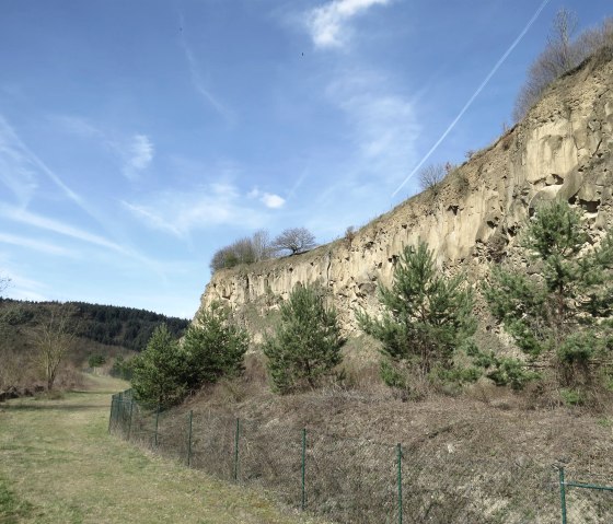 Blick auf die Steilwand der Ahl, © Foto: Svenja Schulze-Entrup, Quelle: Touristik-Büro Vordereifel