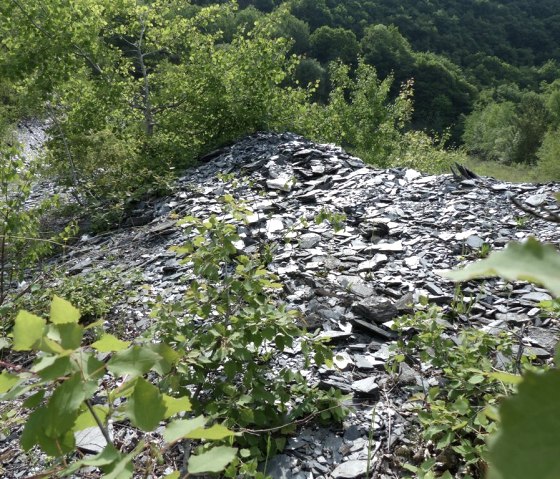 Schiefergrube in Kehrig, © Foto: Svenja Schulze-Entrup, Quelle: Touristik-Büro Vordereifel