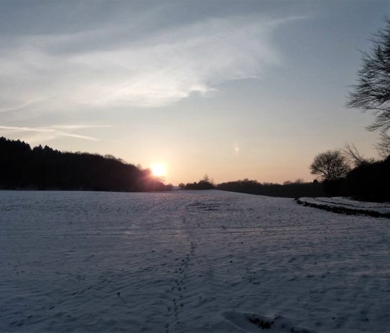 Winterspaziergang Traumpfad bei Ettringen