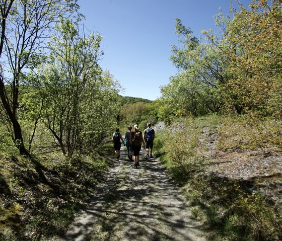 Auf dem Weg in die Schiefergruber Bausberg I, © Laura Rinneburger