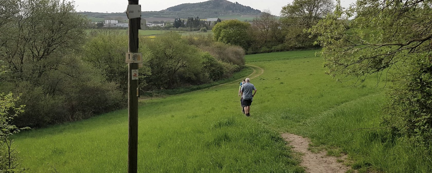 muehlsteinwanderweg-hinab-zur-ettringer-lay