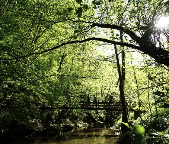 Egal ob über die Brücke oder durch die Elz :), © Laura Rinneburger