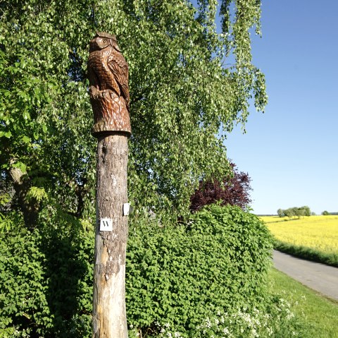 Wiesbachtalweg in Weiler/ Eifel, © Laura Rinneburger