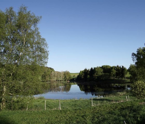 Blick auf das Booser Doppelmaar (C) Laura Rinneburger, © Laura Rinneburger, Touristik-Büro Vordereifel