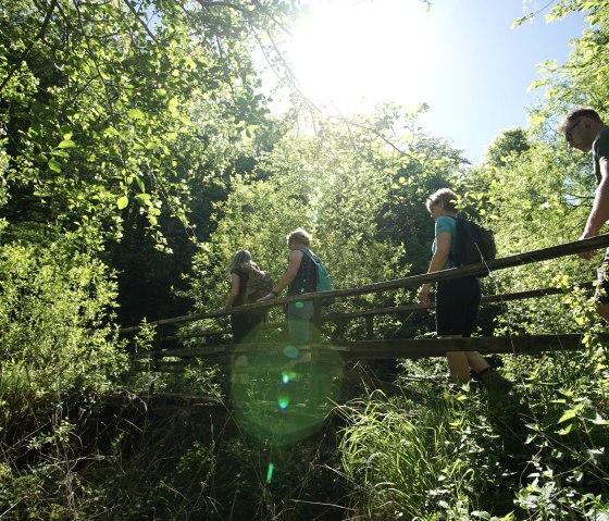 Kleine Brücke über die Elz nach den Schiefergruben, © Laura Rinneburger