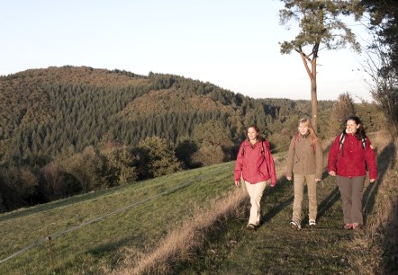 Wanderather - Wanderweg im Herbst, © Traumpfade/Kappest