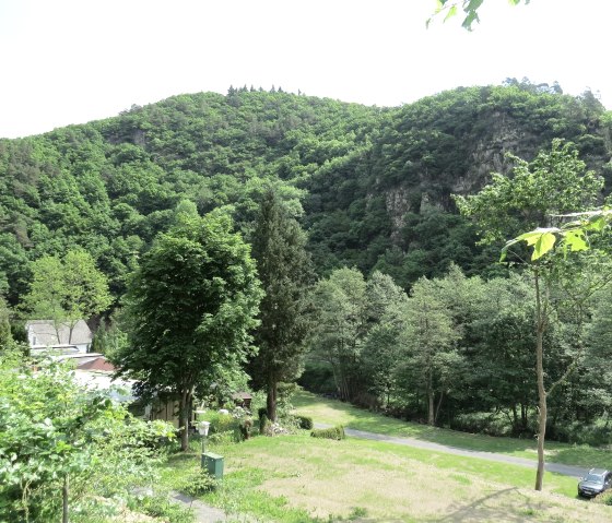 Im Tal der Nette, © Foto: Svenja Schulze-Entrup, Quelle: Touristik-Büro Vordereifel