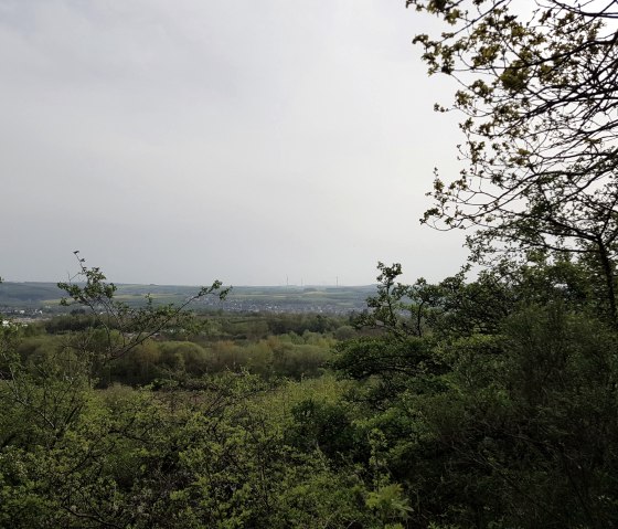 aussicht-vom-ettringer-bellerberg