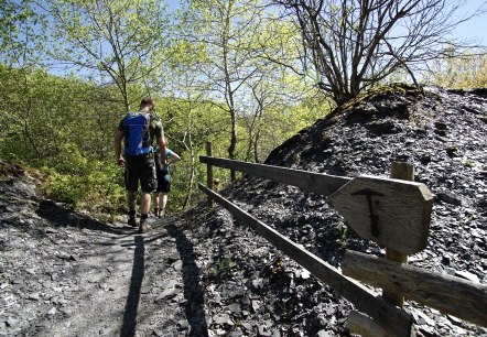 Aus der Schiefergrube in Richtung Elzbach, © Laura Rinneburger