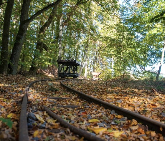 Lore im Kottenheimer Winfeld, © Foto: Laura Rinneburger, Quelle: Touristik-Büro Vordereifel