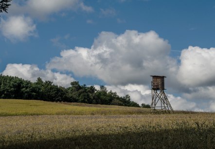 7-Dörfer-Wanderweg, © Volker Windheuser