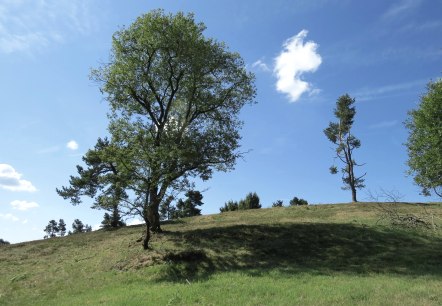 wacholderheide-arft_1, © Svenja Schulze-Entrup