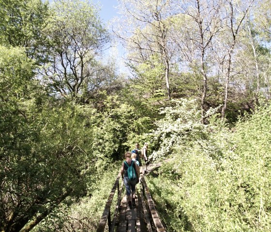 Kleine Brücke über die Elz nach den Schiefergruben, © Laura Rinneburger