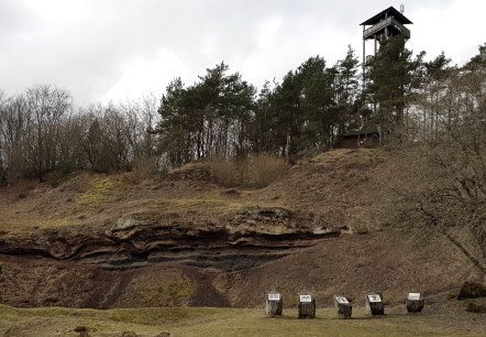 Kraterwand mit Blick auf den Booser Eifelturm, © Svenja Schulze-Entrup