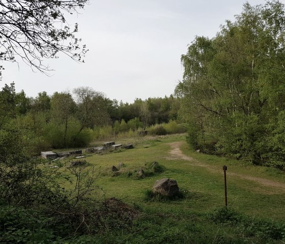 ausblick-aufs-mayener-grubenfeld