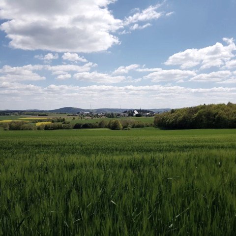 Blick auf Nachtsheim, © Foto: Svenja Schulze-Entrup, Quelle: Touristik-Büro Vordereifel