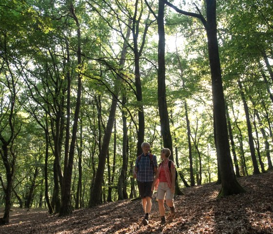 Auf dem Weg zum Nitzblick, © Laura Rinneburger