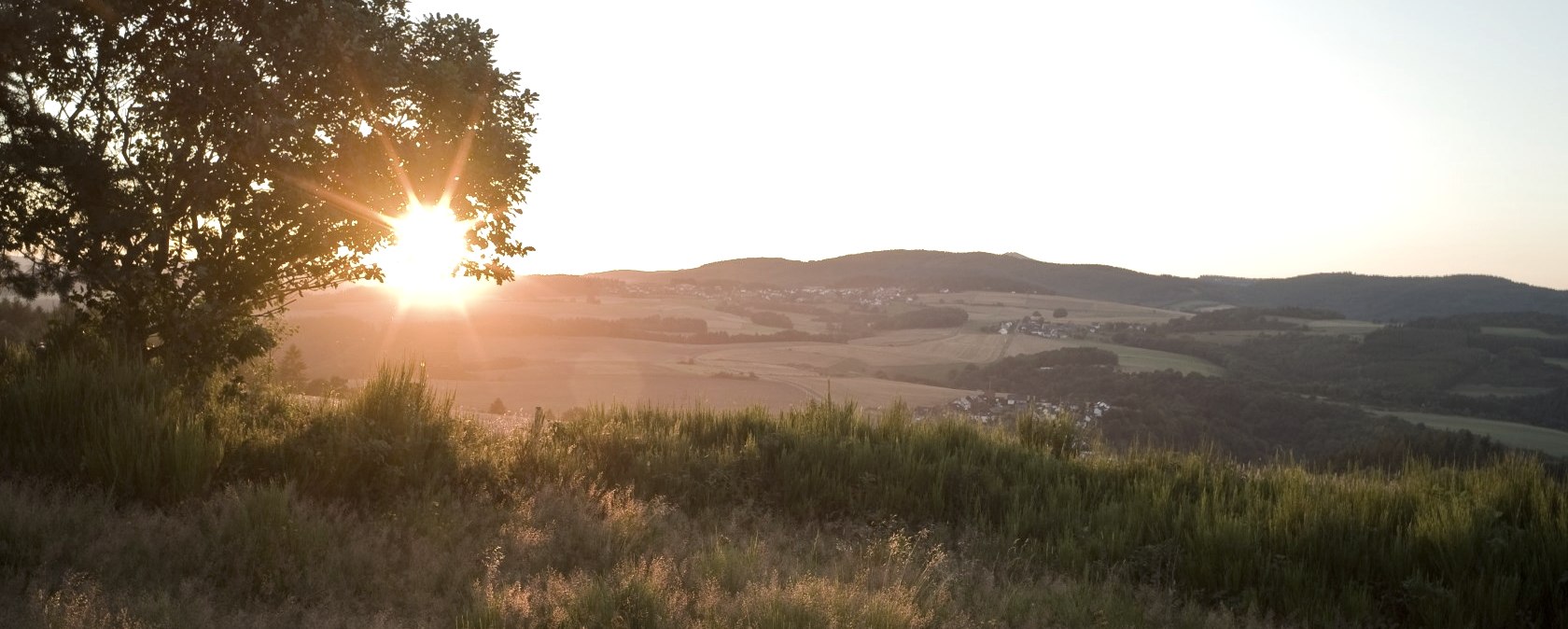 Virne-Burgweg - Heidelandschaft, © Traumpfade/Kappest