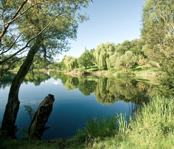 Blick auf Ulmen an der Vulkan-Rad-Route Eifel, © GesundLand Vulkaneifel/D. Ketz