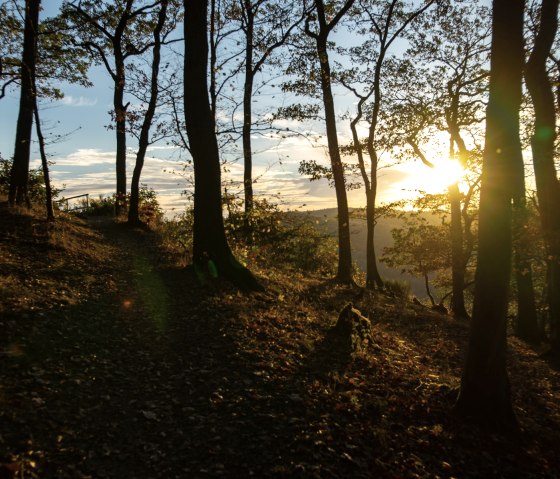 Dem Sonnenuntergang entgegen auf dem Panorama Wanderweg, © Laura Rinneburger