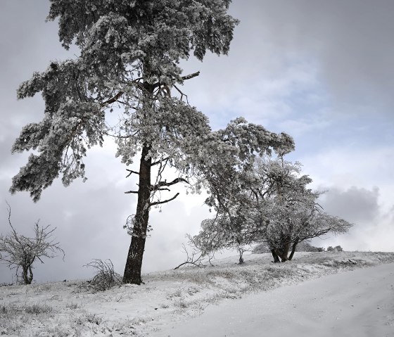 Umgebung im Winter